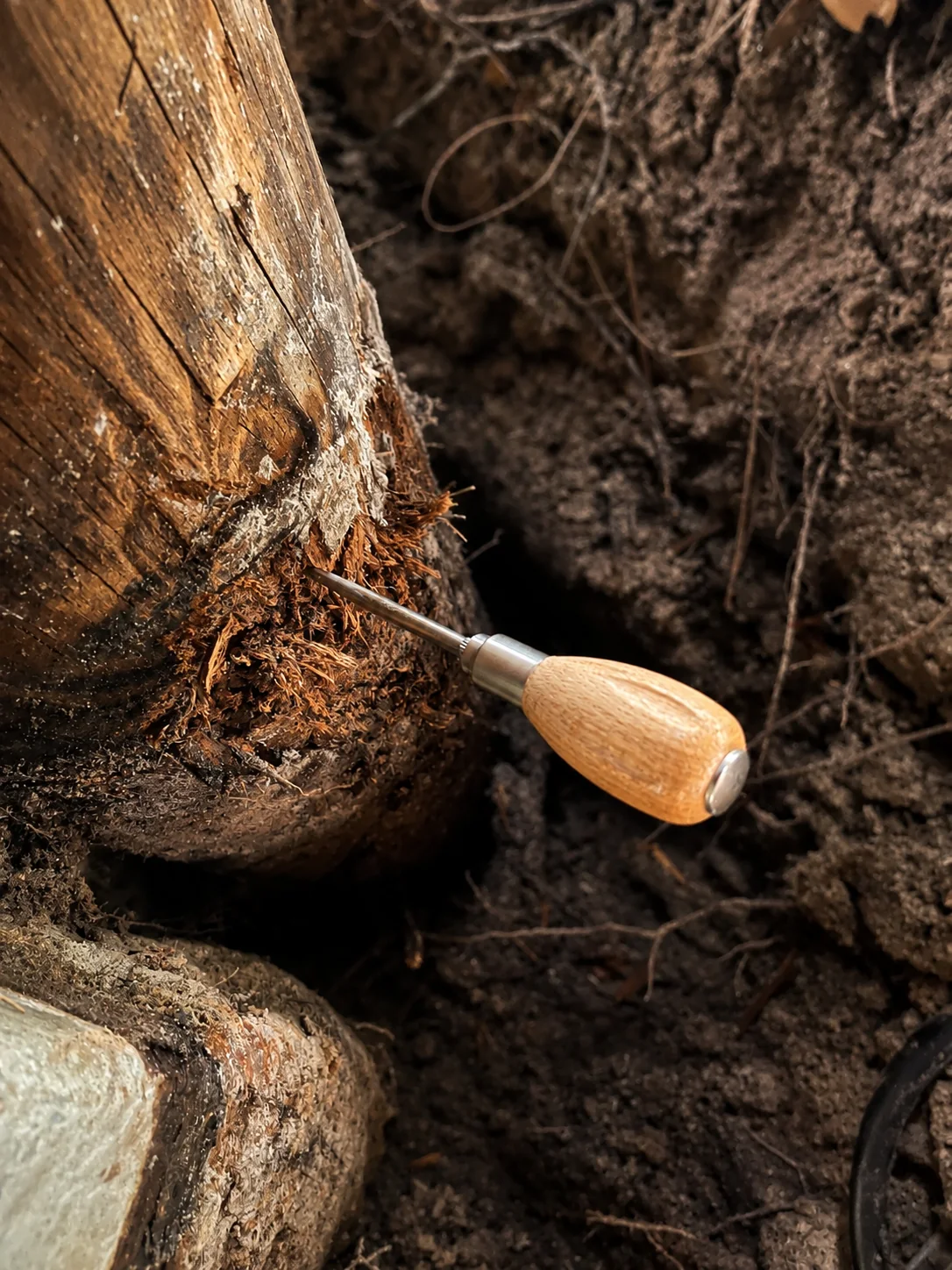 Additional coastal wood rot condition
